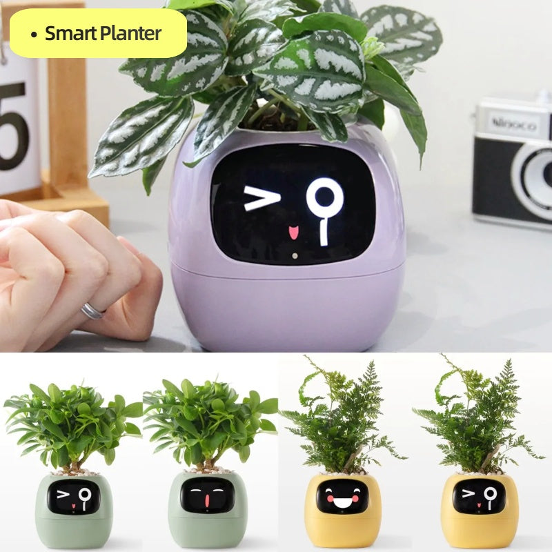 Smart Planter, Make Raising Plants Easy And Fun