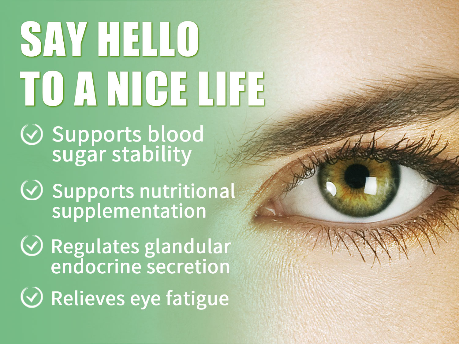 Certificate Manufacturer NSF HALAL COA GMP Wholesale Moringa Extract Supplements Immune Support Organic Moringa Capsule