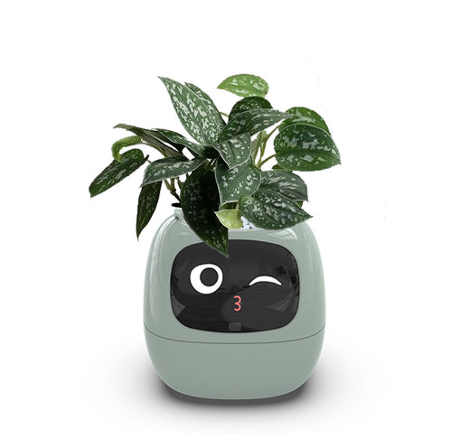 Smart Planter, Make Raising Plants Easy And Fun